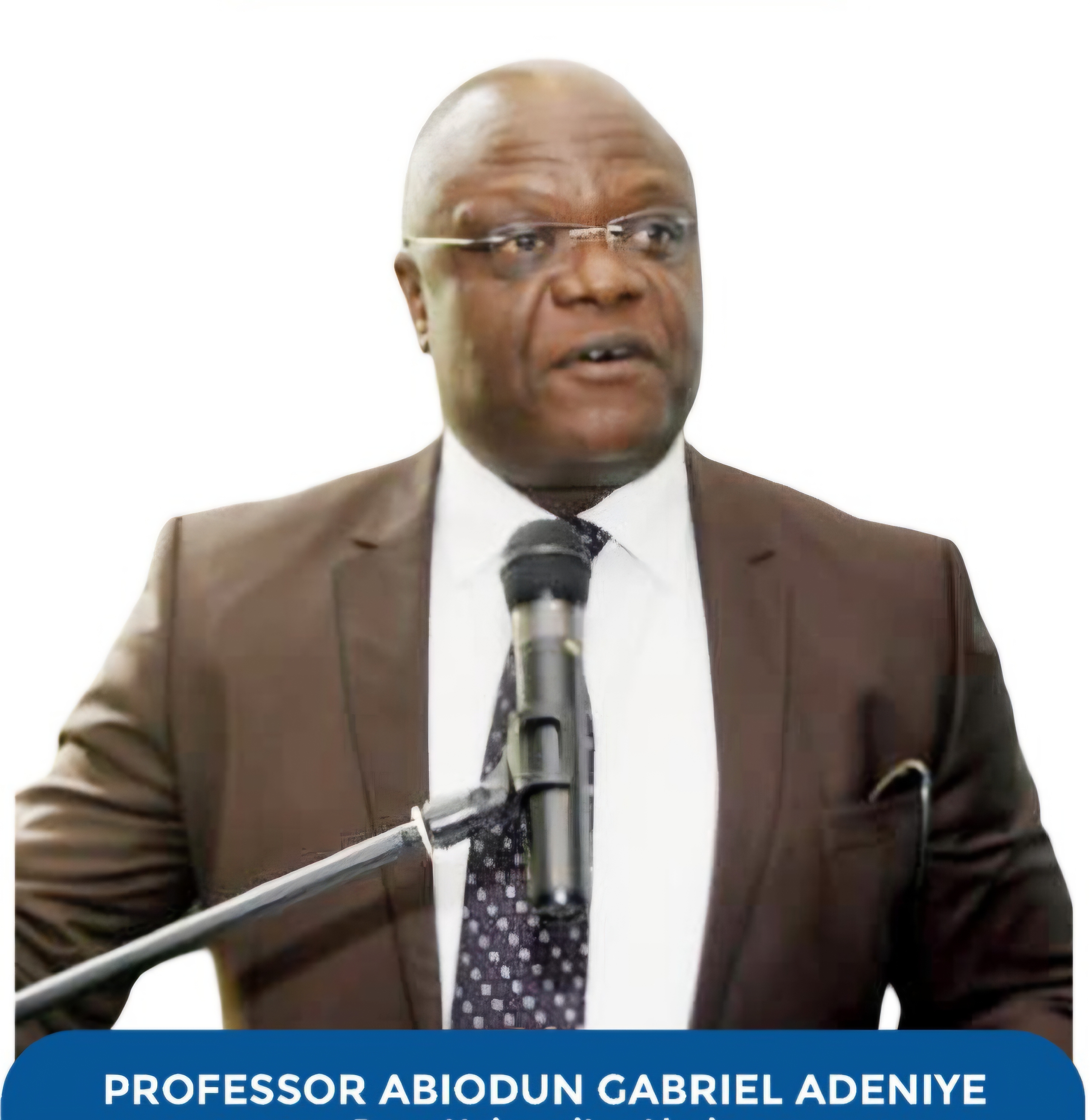 Safer-Media Initiative Congratulates Professor Adeniyi on Appointment as Baze University VC